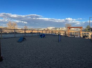 Bark park